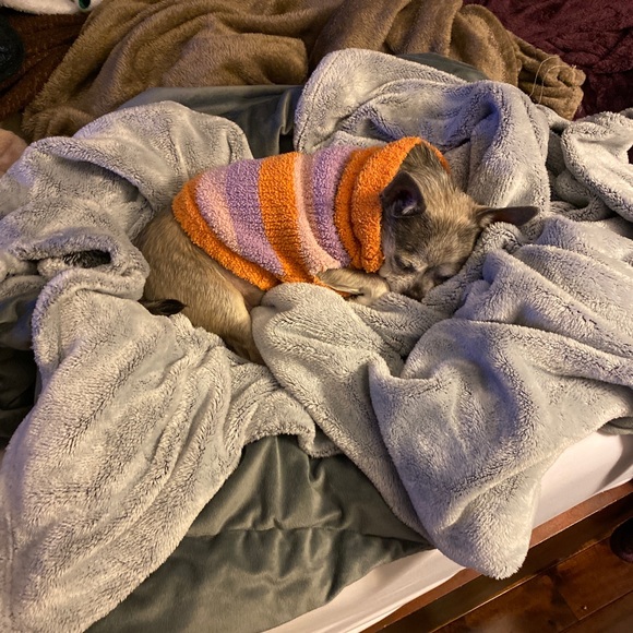 🍭🍦🍩🧁🍪🍭 - Picture 6 of 7